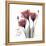 Red Tulip Faith-Albert Koetsier-Framed Stretched Canvas