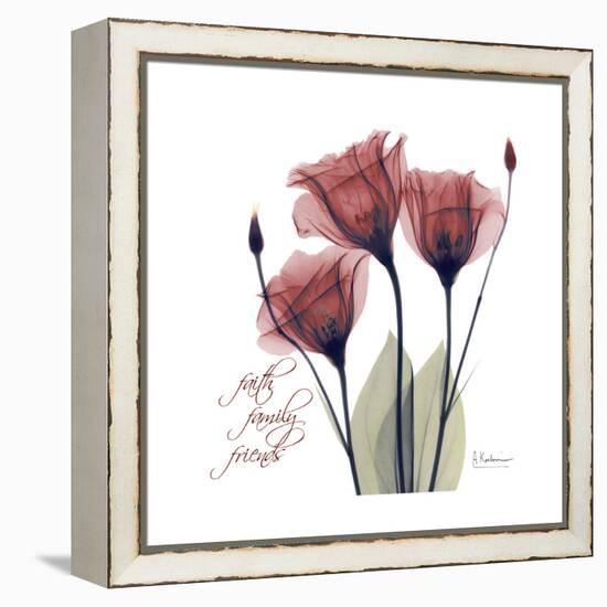 Red Tulip Faith-Albert Koetsier-Framed Stretched Canvas