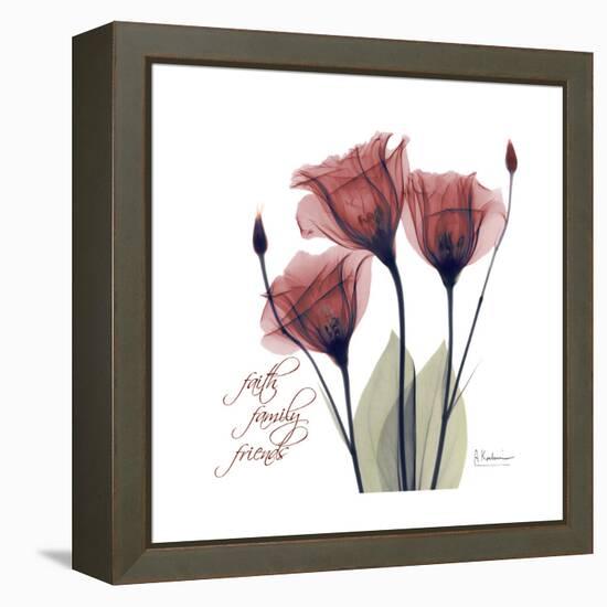 Red Tulip Faith-Albert Koetsier-Framed Stretched Canvas