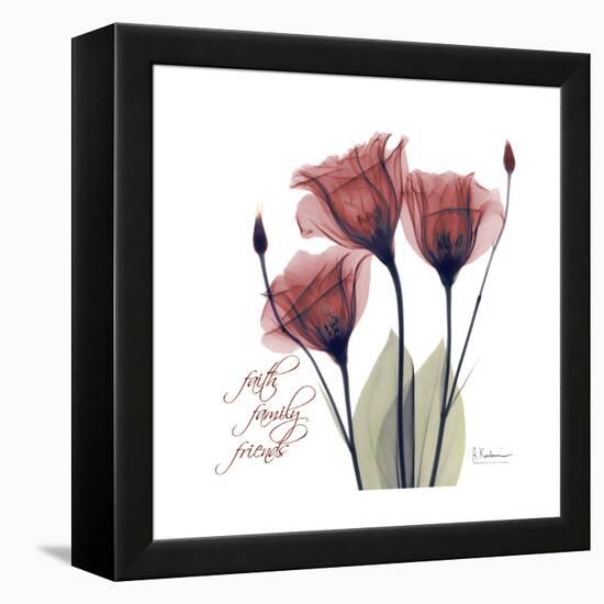 Red Tulip Faith-Albert Koetsier-Framed Stretched Canvas