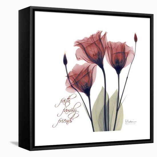 Red Tulip Faith-Albert Koetsier-Framed Stretched Canvas