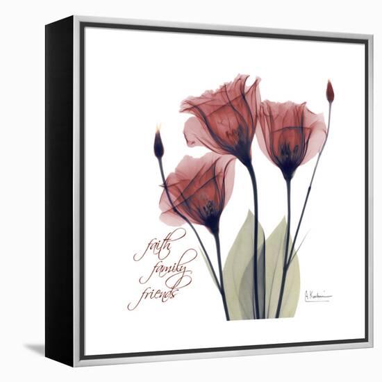 Red Tulip Faith-Albert Koetsier-Framed Stretched Canvas