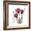 Red Tulip Faith-Albert Koetsier-Framed Premium Giclee Print