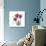 Red Tulip Faith-Albert Koetsier-Premium Giclee Print displayed on a wall