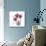 Red Tulip Faith-Albert Koetsier-Mounted Premium Giclee Print displayed on a wall