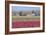 Red Tulip Farm-Dana Styber-Framed Photographic Print