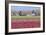 Red Tulip Farm-Dana Styber-Framed Photographic Print