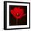 Red Tulip I-Christine Zalewski-Framed Art Print