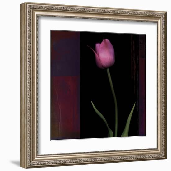 Red Tulip II-Rick Filler-Framed Giclee Print