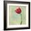 Red Tulip II-Judy Stalus-Framed Art Print