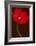 Red Tulip III-Christine Zalewski-Framed Art Print