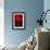 Red Tulip III-Christine Zalewski-Framed Art Print displayed on a wall