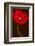 Red Tulip III-Christine Zalewski-Framed Art Print