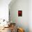 Red Tulip III-Christine Zalewski-Mounted Art Print displayed on a wall