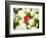 Red tulip in a field of white tulips-Craig Tuttle-Framed Photographic Print