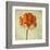 Red Tulip IV-Judy Stalus-Framed Art Print