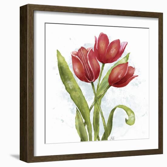 Red Tulip Splash II-Jade Reynolds-Framed Art Print