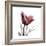 Red Tulip-Albert Koetsier-Framed Premium Giclee Print