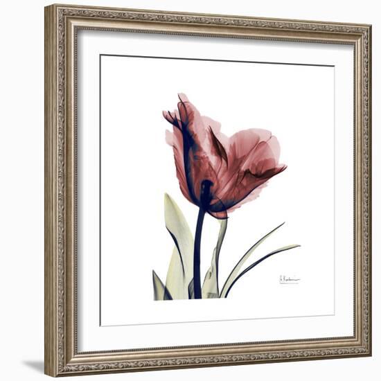 Red Tulip-Albert Koetsier-Framed Premium Giclee Print