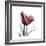 Red Tulip-Albert Koetsier-Framed Premium Giclee Print