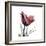 Red Tulip-Albert Koetsier-Framed Premium Giclee Print