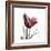 Red Tulip-Albert Koetsier-Framed Premium Giclee Print