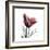 Red Tulip-Albert Koetsier-Framed Premium Giclee Print