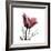 Red Tulip-Albert Koetsier-Framed Premium Giclee Print