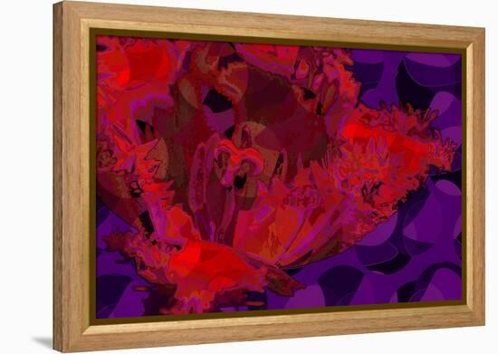 Red Tulip-Scott J. Davis-Framed Premier Image Canvas