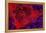 Red Tulip-Scott J. Davis-Framed Premier Image Canvas