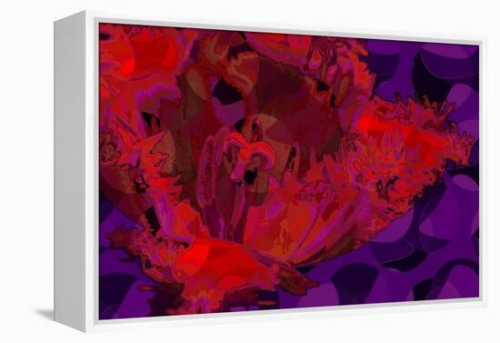 Red Tulip-Scott J. Davis-Framed Premier Image Canvas