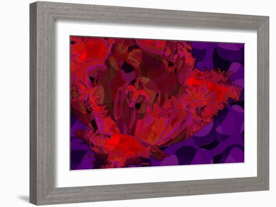 Red Tulip-Scott J. Davis-Framed Giclee Print