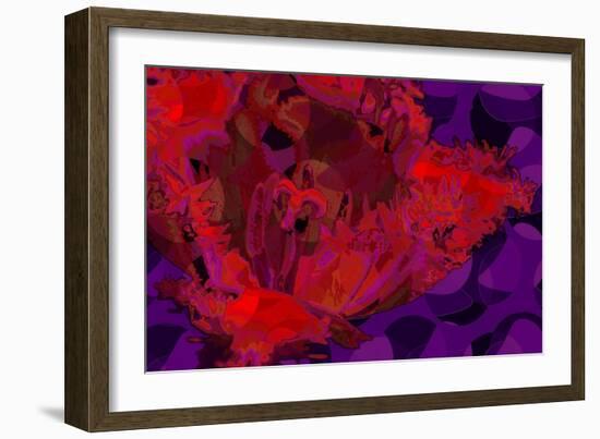 Red Tulip-Scott J. Davis-Framed Giclee Print