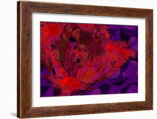 Red Tulip-Scott J. Davis-Framed Giclee Print