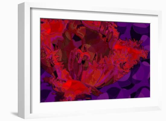 Red Tulip-Scott J. Davis-Framed Giclee Print