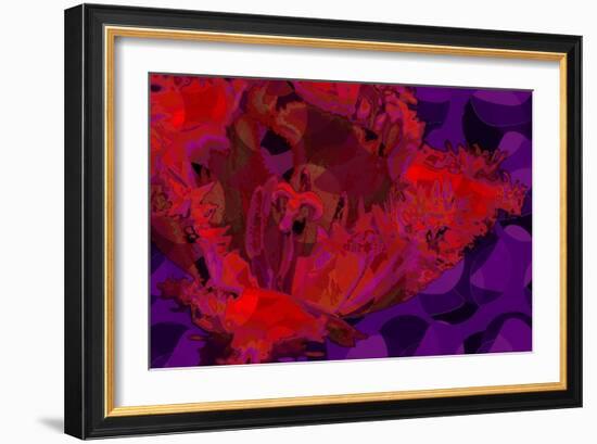 Red Tulip-Scott J. Davis-Framed Giclee Print