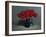 Red Tulips, 2010-James Gillick-Framed Giclee Print