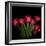 Red Tulips 6-Magda Indigo-Framed Photographic Print