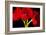 Red Tulips I-Christine Zalewski-Framed Art Print