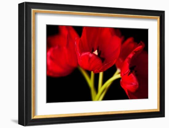 Red Tulips I-Christine Zalewski-Framed Art Print