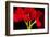 Red Tulips I-Christine Zalewski-Framed Art Print