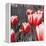 Red Tulips I-Emily Navas-Framed Premier Image Canvas