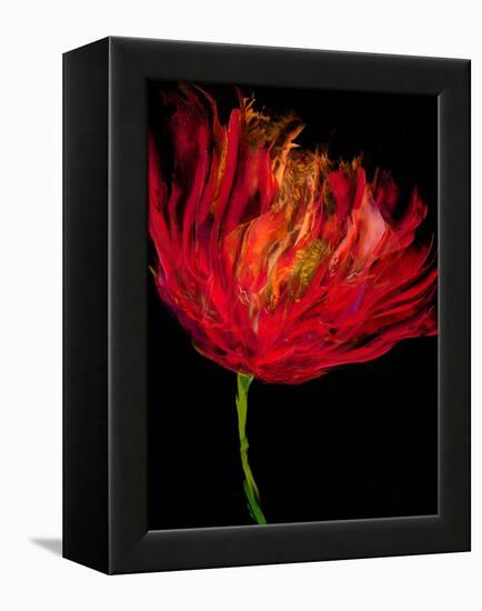 Red Tulips I-Vanessa Austin-Framed Stretched Canvas