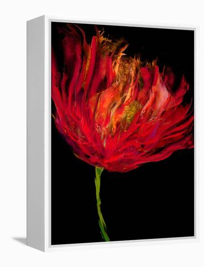 Red Tulips I-Vanessa Austin-Framed Stretched Canvas