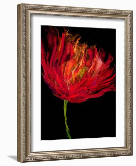 Red Tulips I-Vanessa Austin-Framed Art Print