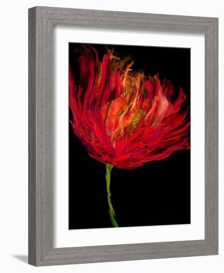 Red Tulips I-Vanessa Austin-Framed Art Print