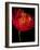 Red Tulips I-Vanessa Austin-Framed Art Print