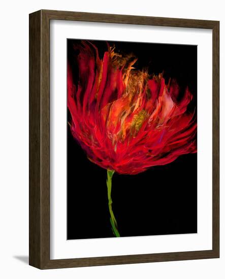 Red Tulips I-Vanessa Austin-Framed Art Print