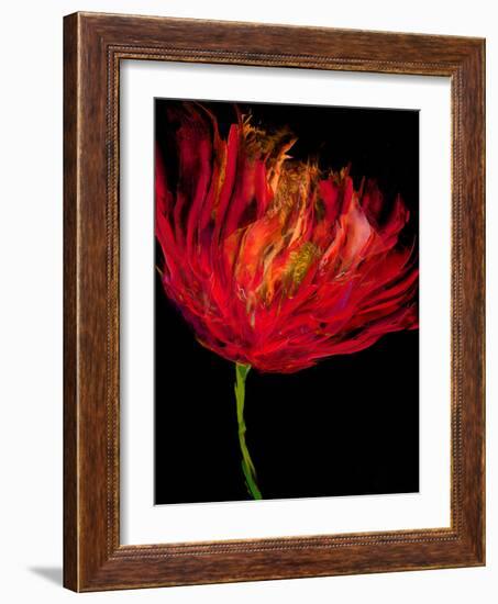 Red Tulips I-Vanessa Austin-Framed Art Print