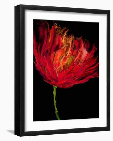 Red Tulips I-Vanessa Austin-Framed Art Print